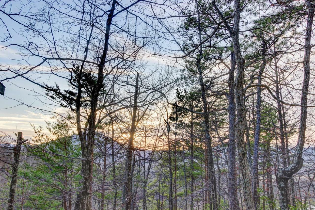 Misty View Cabin Hatchertown Luaran gambar