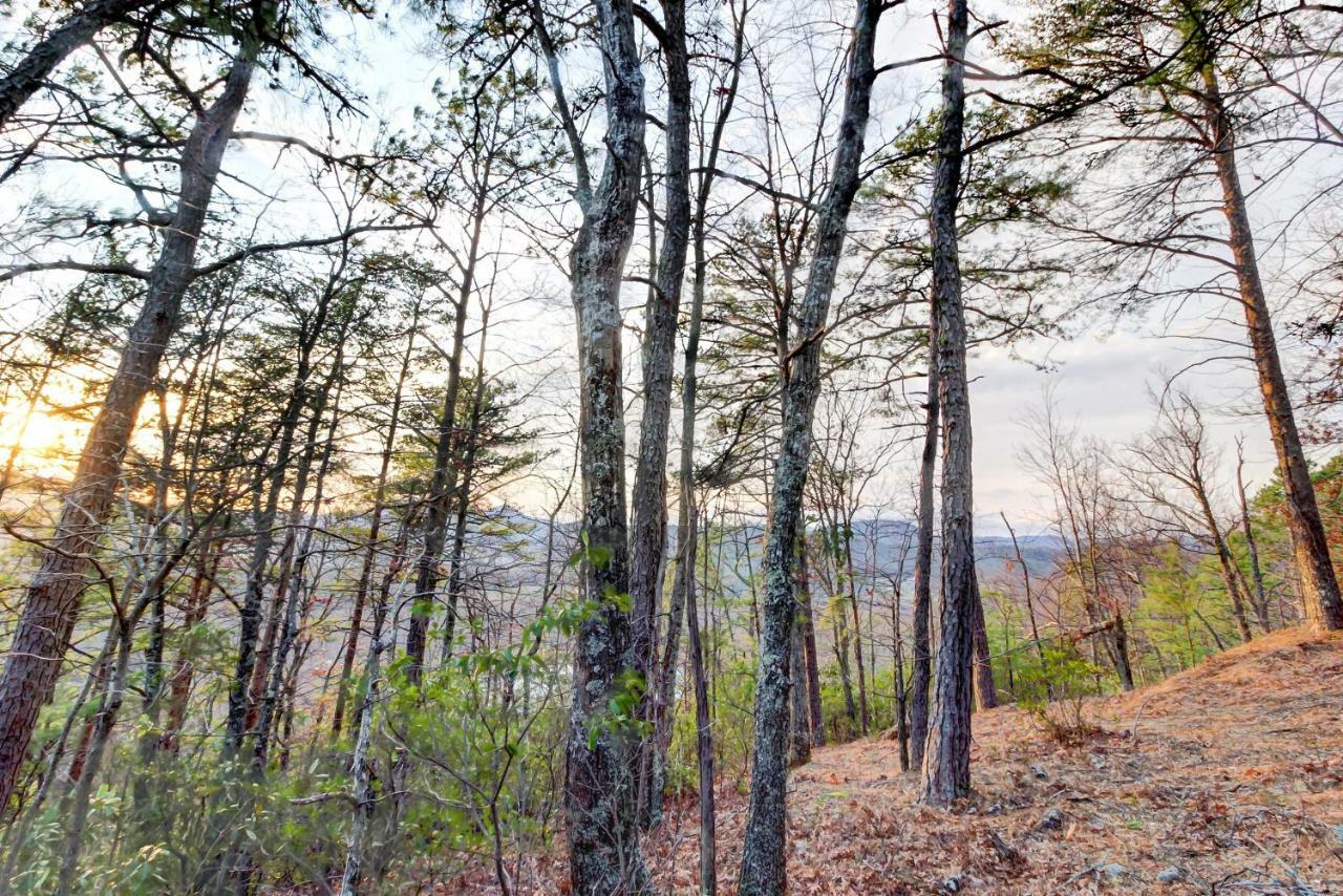 Misty View Cabin Hatchertown Luaran gambar